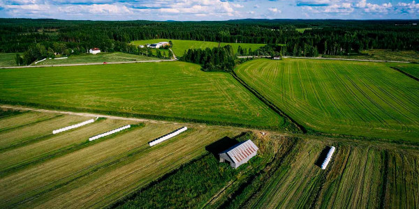 Estudios de suelos agrícolas en el Maresme