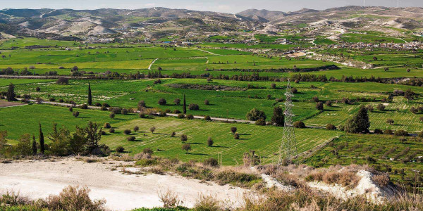 Estudios de suelos para agricultura en el Maresme